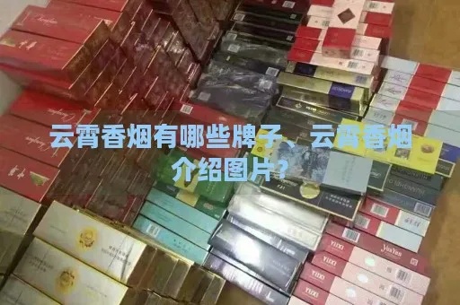 云霄香烟，追溯品牌历史，探索独特货源与批发之道 - 2 - 635香烟网