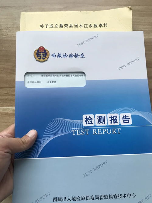 厂家直供正品香烟批发，一手货源保障品质 - 2 - 635香烟网