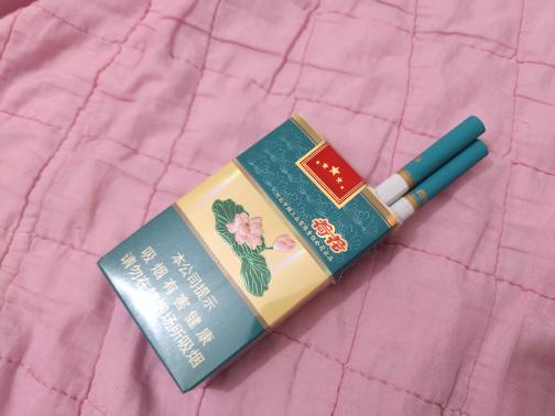 小荷花香烟的价格分析与市场定位香烟批发 - 1 - 635香烟网