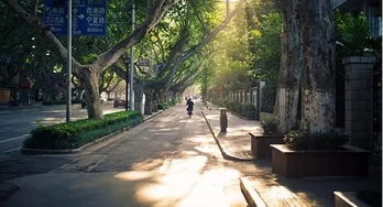 南京的绿色发展之路货源渠道 - 3 - 635香烟网