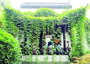 南京的绿色发展之路货源渠道 - 5 - 635香烟网