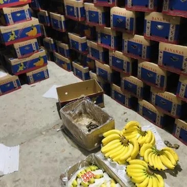 临颍县香蕉批发中心，探索当地优质香烟批发商指南 - 1 - 635香烟网
