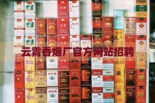 云霄香烟市场货源指南，揭秘批发渠道与购买途径 - 2 - 635香烟网
