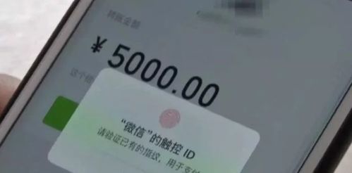 探索微信免税香烟市场，一手货源的奥秘与风险越南代工香烟 - 4 - 635香烟网