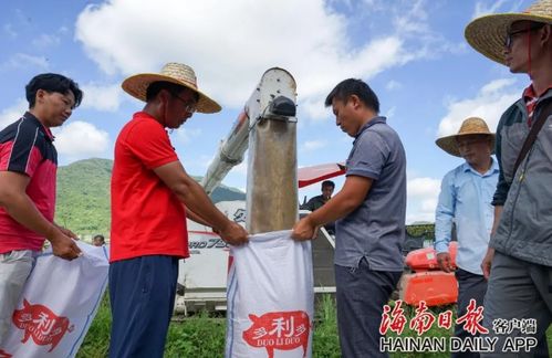 顶级香烟货源团队背后的实力与秘密 - 3 - 635香烟网