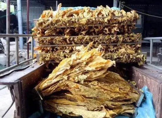 云霄香烟品质探秘，源自何地的烟叶更受欢迎？ - 3 - 635香烟网