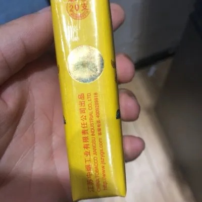 探索软九五，人工智能的伦理与道德边界一手货源 - 2 - 635香烟网