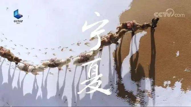 宁夏地区烟草市场现状与高仿香烟问题探讨批发商城 - 2 - 635香烟网