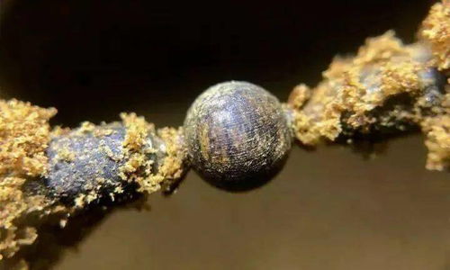 苁蓉王香烟批发价格揭秘，一斤苁蓉烟的市场价格解析 - 3 - 635香烟网
