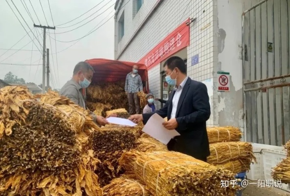 烟草专卖局公务员招考，国考背景下的香烟批发行业解析 - 4 - 635香烟网