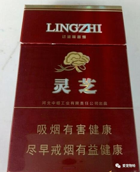 钻石香烟批发渠道直通热线，厂家直销服务 - 3 - 635香烟网