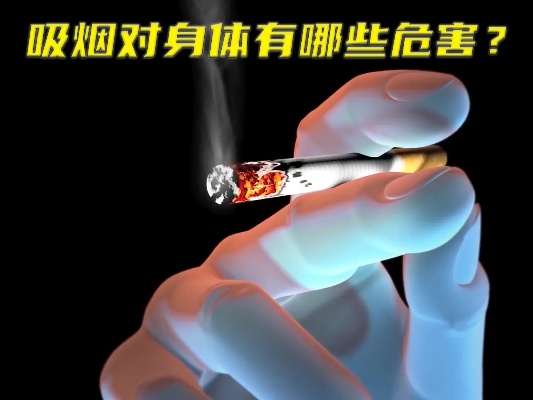 烟草价格与健康风险，深入探讨低价烟与健康的关系总仓批发 - 2 - 635香烟网