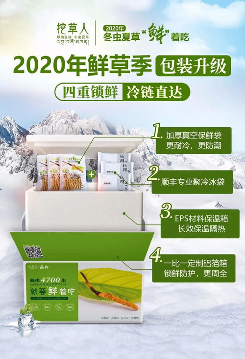惊！广州优质免税香烟批发，一手货源直供！ - 2 - 635香烟网
