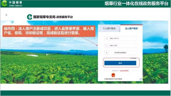 便捷时代！南京烟草证网上开放，轻松办理南京烟 - 1 - 635香烟网