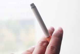 探讨烟草危害，选择对身体影响较小的烟草产品 - 3 - www.680860.com微商资讯网