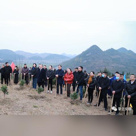 2023年茶花香烟价格一览，品味与价值的双重体验 - 4 - www.680860.com微商资讯网