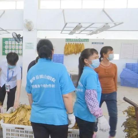 梅州一士多香烟的品鉴之旅 - 3 - www.680860.com微商资讯网