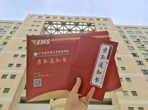 珠海中山香烟批发市场分析与经营策略 - 5 - www.680860.com微商资讯网