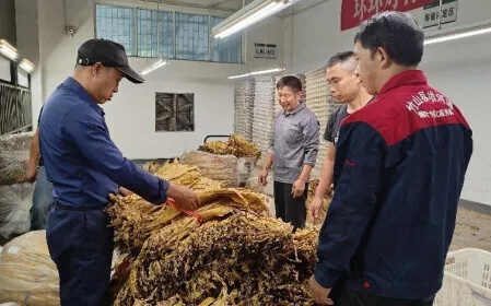 精选烟叶批发平台，一站式采购体验 - 2 - www.680860.com微商资讯网