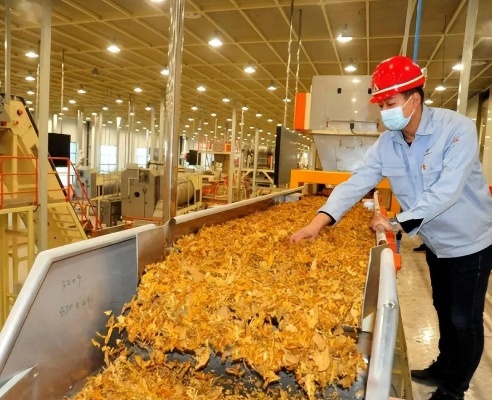 探索云霄香烟工厂，揭秘其消费市场与分布之谜 - 5 - www.680860.com微商资讯网