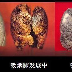 戒烟之旅，决心与改变的力量 - 4 - www.680860.com微商资讯网