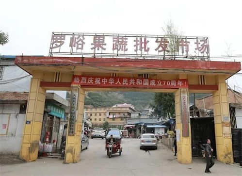 天水市香烟批发市场分析 - 4 - www.680860.com微商资讯网