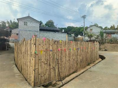 深入解析甲天下漓江香烟的批发奥秘