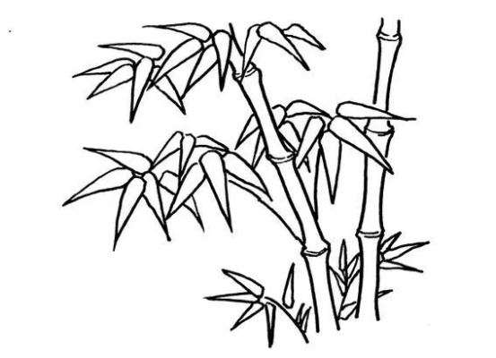 简笔画青竹，自然之美的手绘艺术 - 1 - www.680860.com微商资讯网