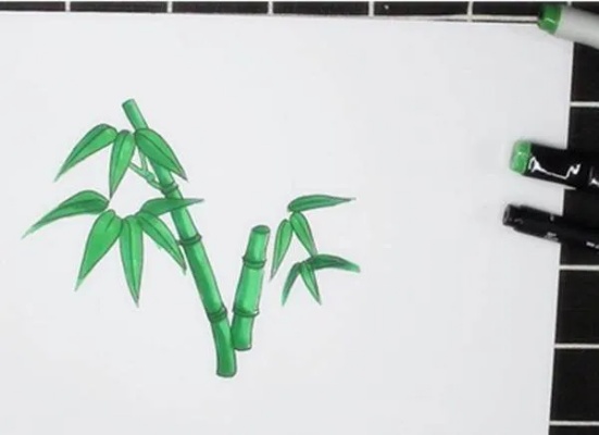 简笔画青竹，自然之美的手绘艺术 - 3 - www.680860.com微商资讯网