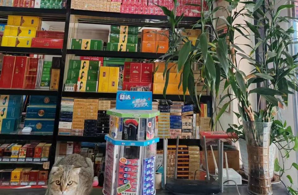 重点通报！福建云霄精仿烟有哪些“深入浅出”