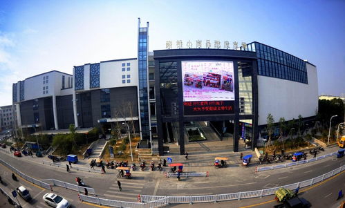 宁波外烟批发市场指南，探索宁波外烟批发新天地 - 3 - www.680860.com微商资讯网