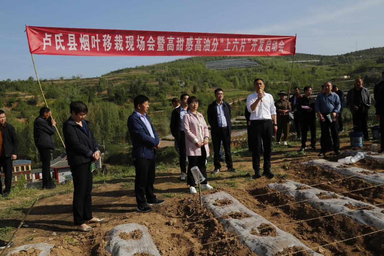 独家报道！福建云霄国烟批发“赤手空拳”