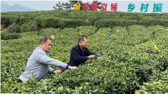 来袭！广东香烟一手网上批发“凤毛麟角”